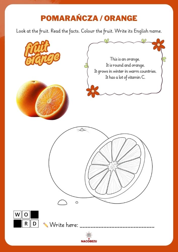 fruit vocabulary worksheets for kids