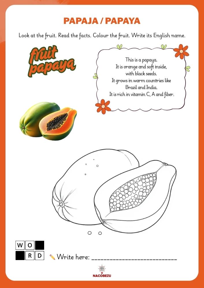 fruit vocabulary worksheets for kids