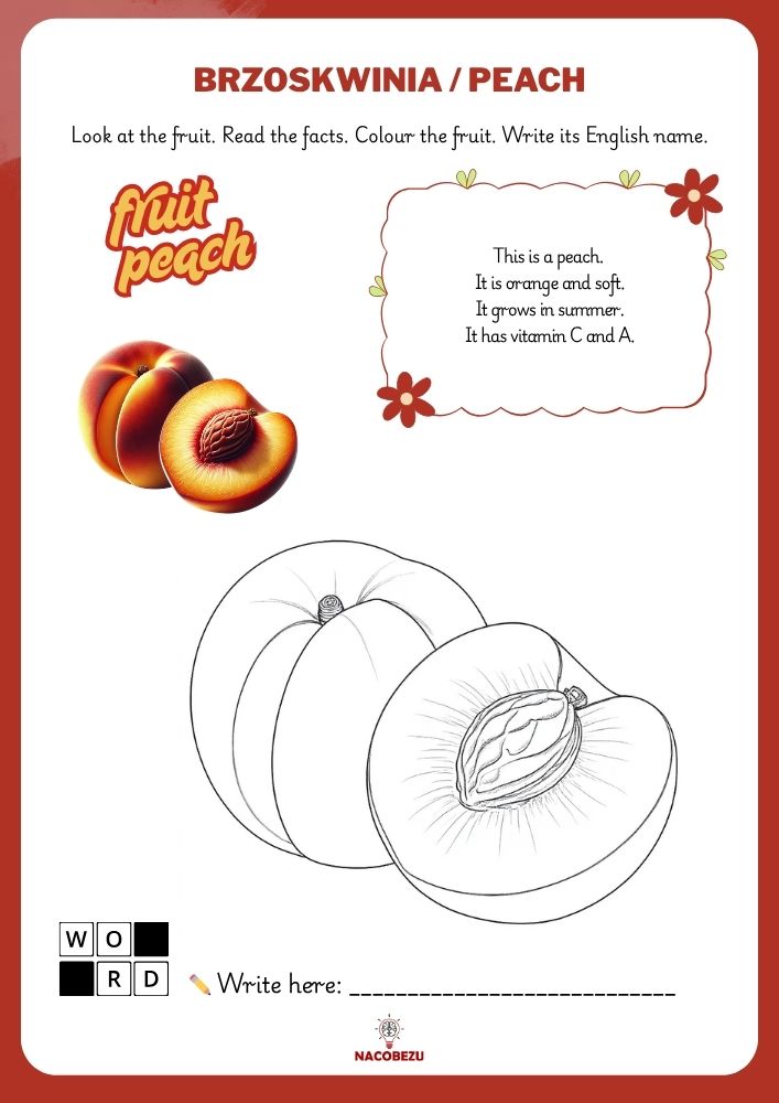 fruit vocabulary worksheets for kids