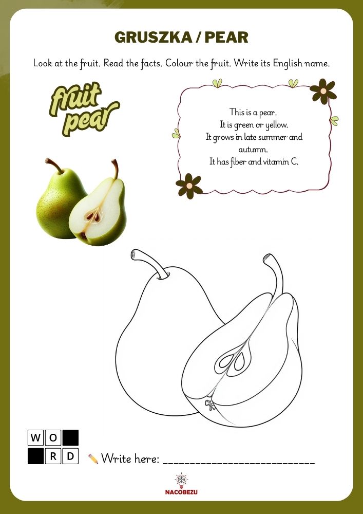 fruit vocabulary worksheets for kids
