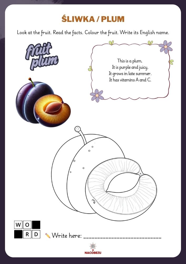 fruit vocabulary worksheets for kids