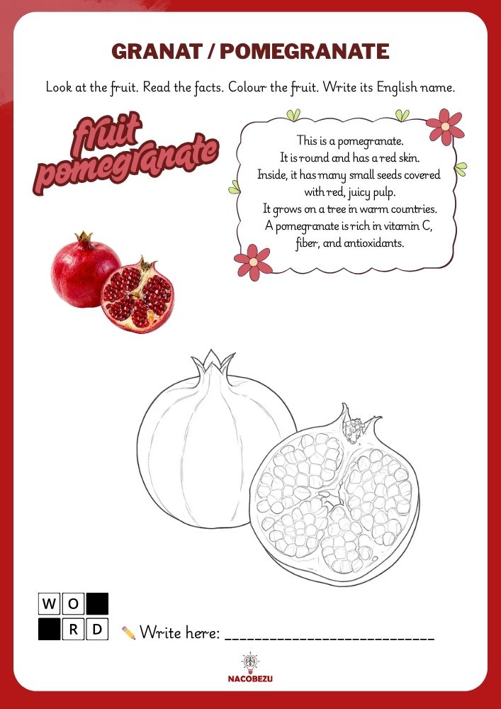 fruit vocabulary worksheets for kids