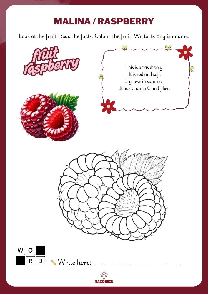 fruit vocabulary worksheets for kids