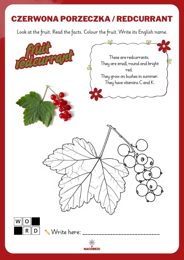 fruit vocabulary worksheets for kids