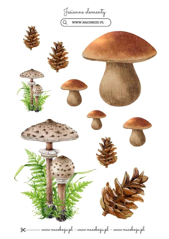 jesienne dekoracje do druku