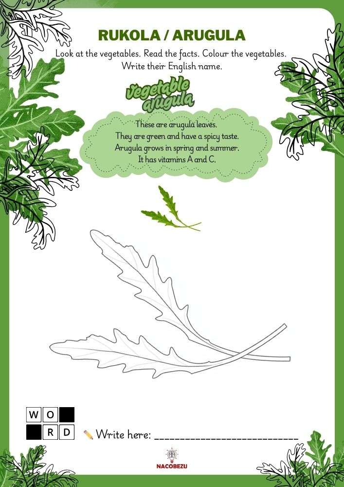 vegetable vocabulary worksheets for kids