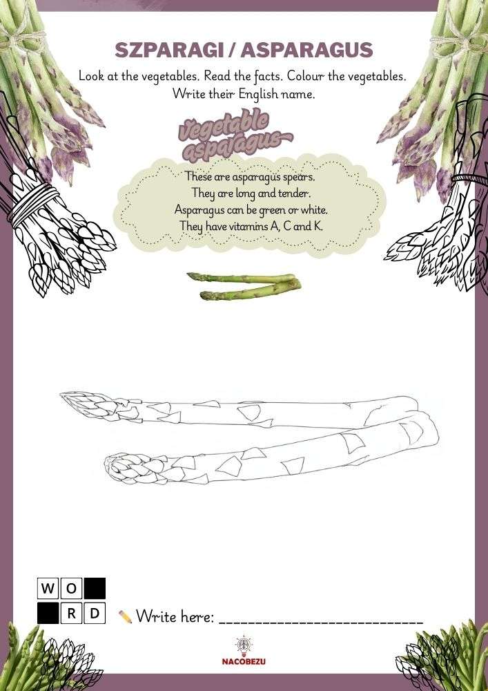 vegetable vocabulary worksheets for kids