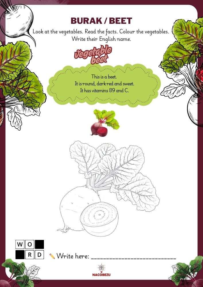 vegetable vocabulary worksheets for kids