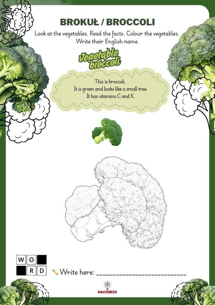 vegetable vocabulary worksheets for kids