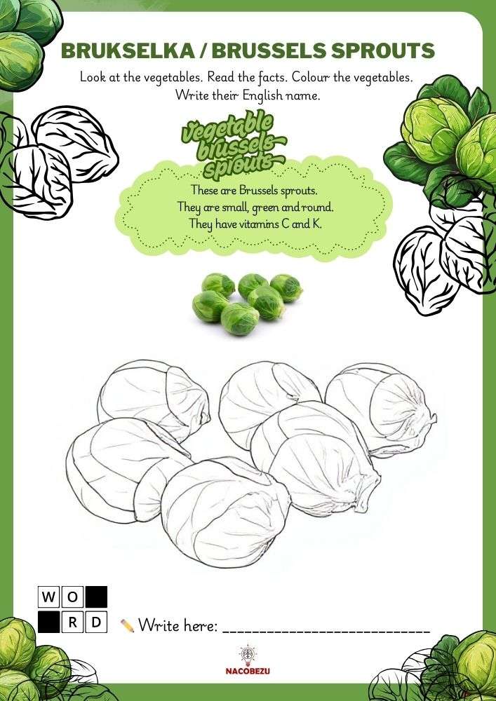 vegetable vocabulary worksheets for kids