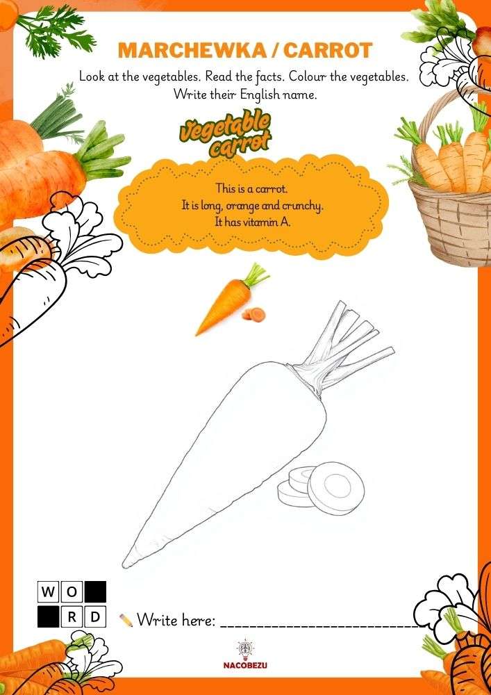 vegetable vocabulary worksheets for kids