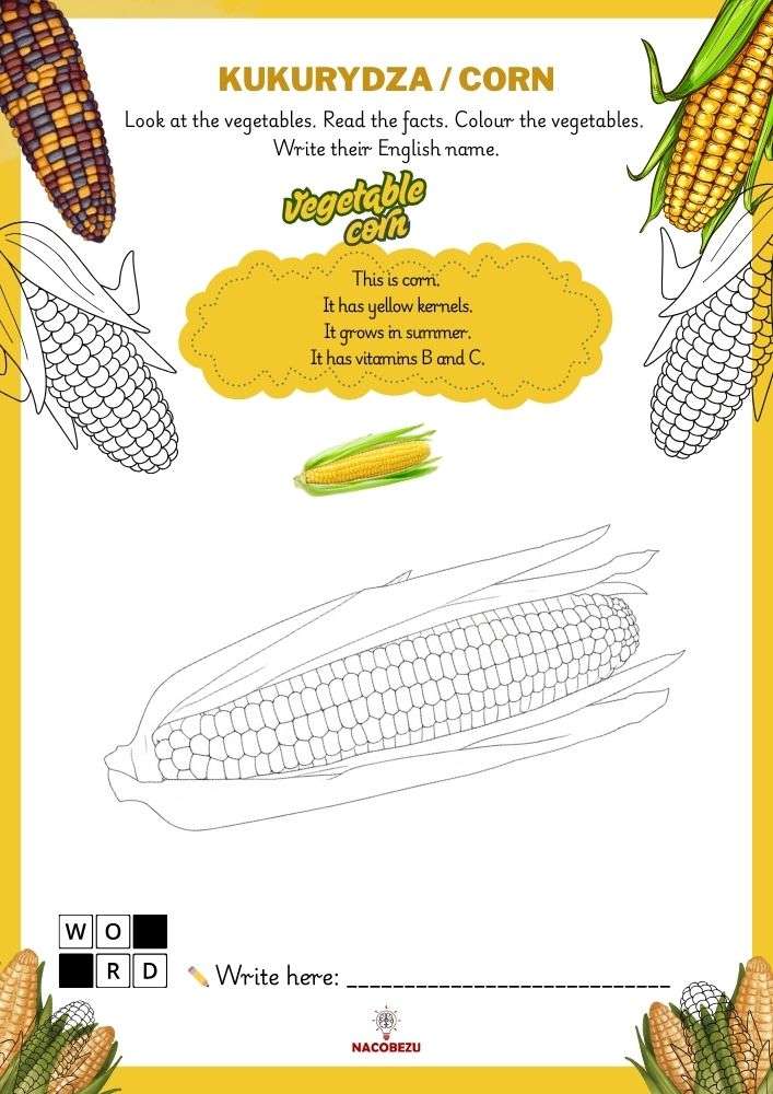 vegetable vocabulary worksheets for kids