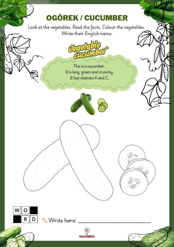 vegetable vocabulary worksheets for kids