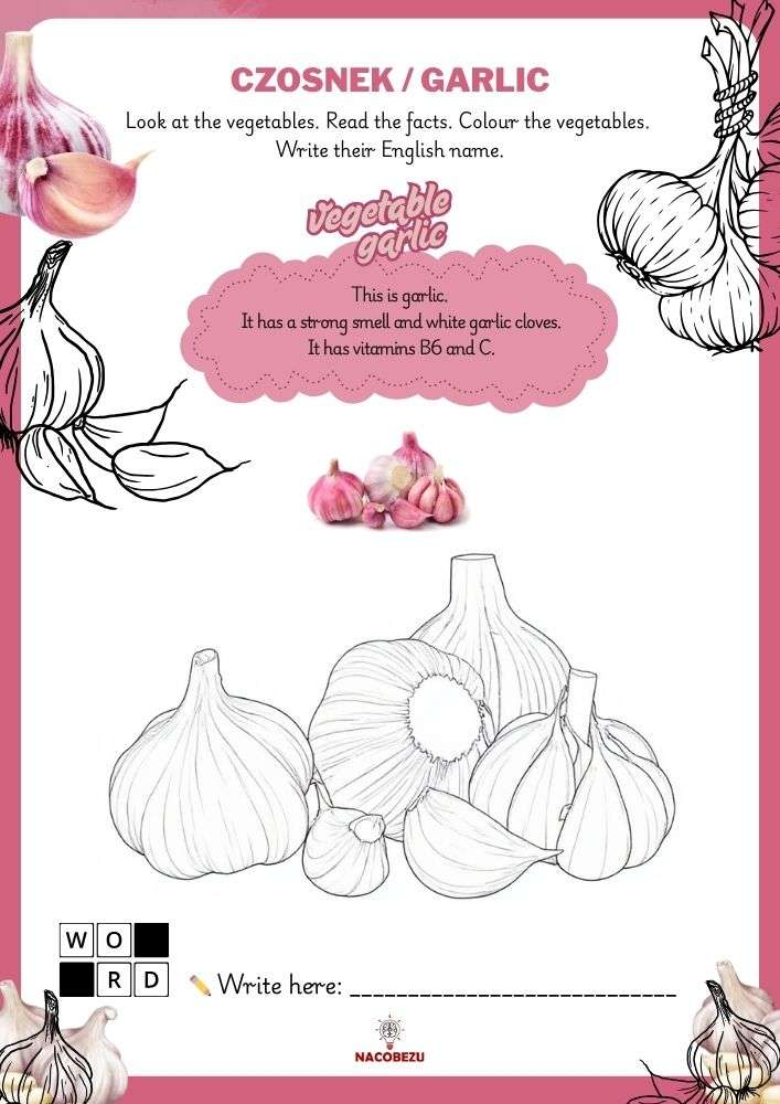 vegetable vocabulary worksheets for kids
