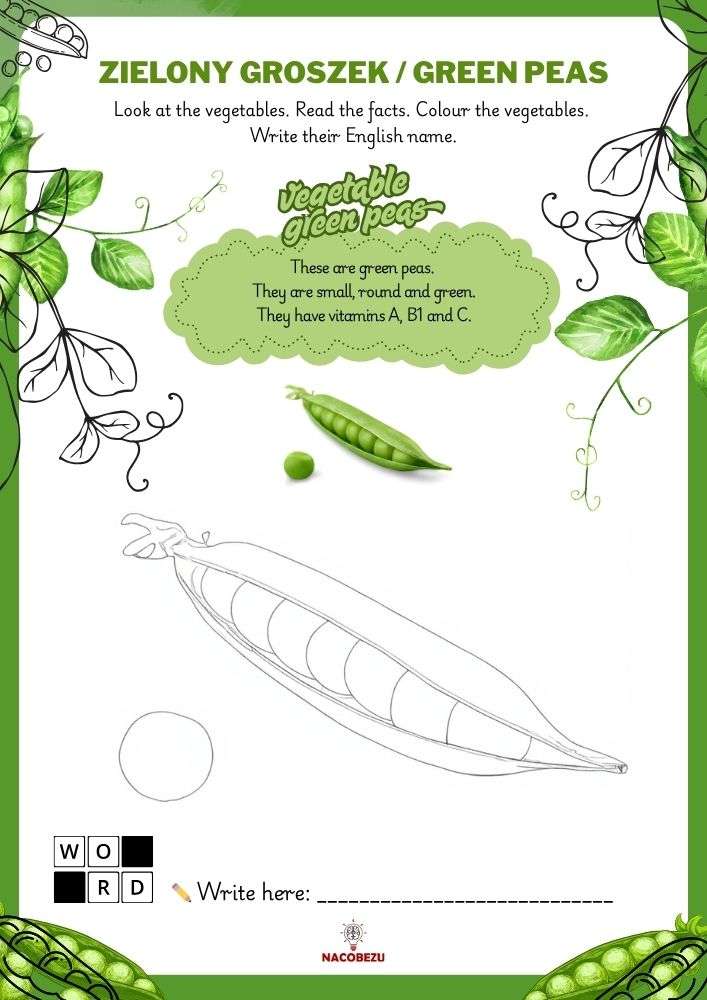 vegetable vocabulary worksheets for kids