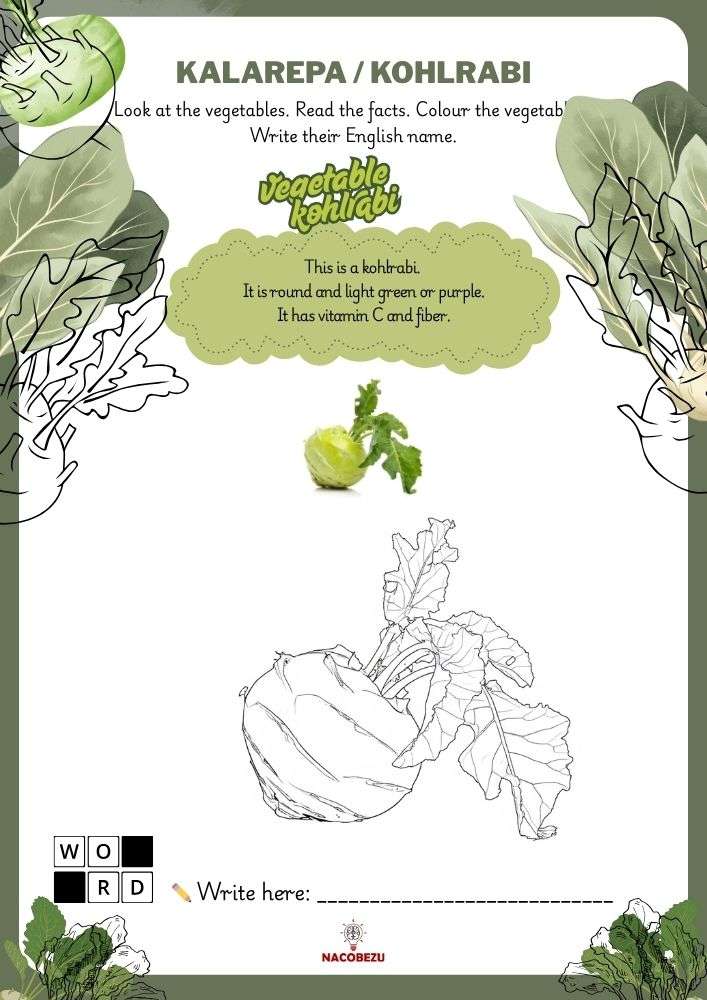 vegetable vocabulary worksheets for kids