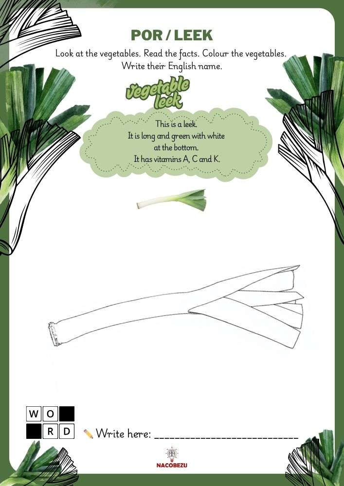 vegetable vocabulary worksheets for kids