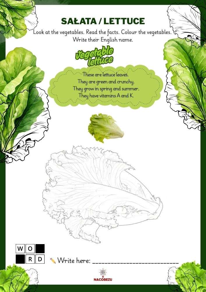 vegetable vocabulary worksheets for kids