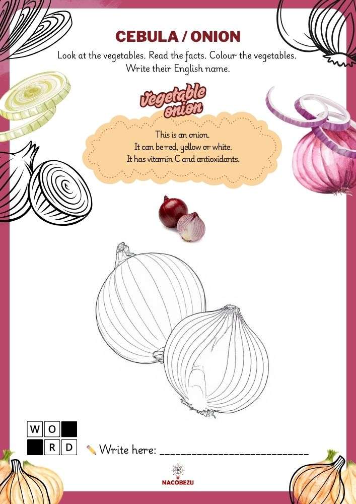 vegetable vocabulary worksheets for kids