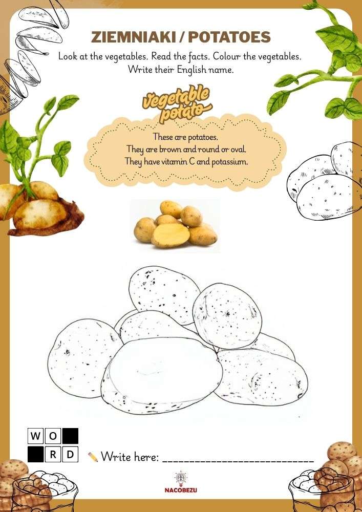vegetable vocabulary worksheets for kids