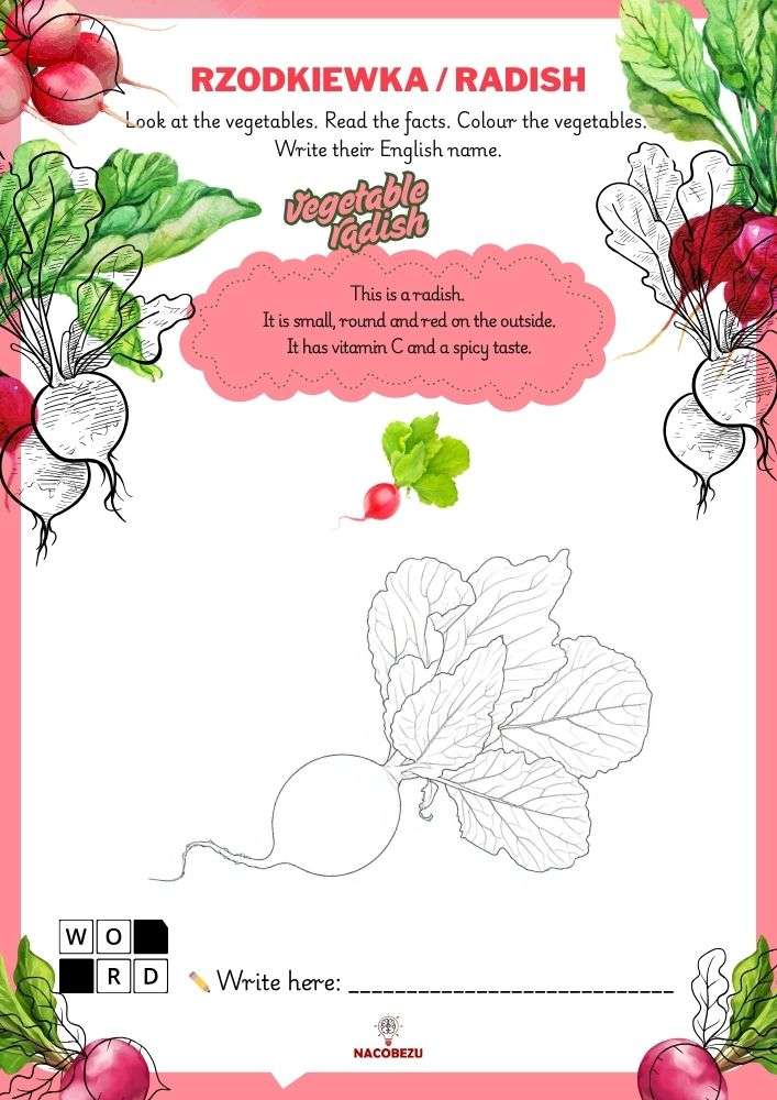 vegetable vocabulary worksheets for kids