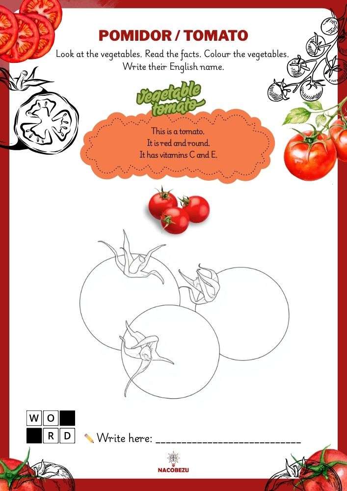 vegetable vocabulary worksheets for kids