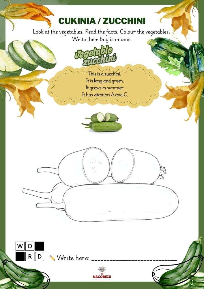 vegetable vocabulary worksheets for kids