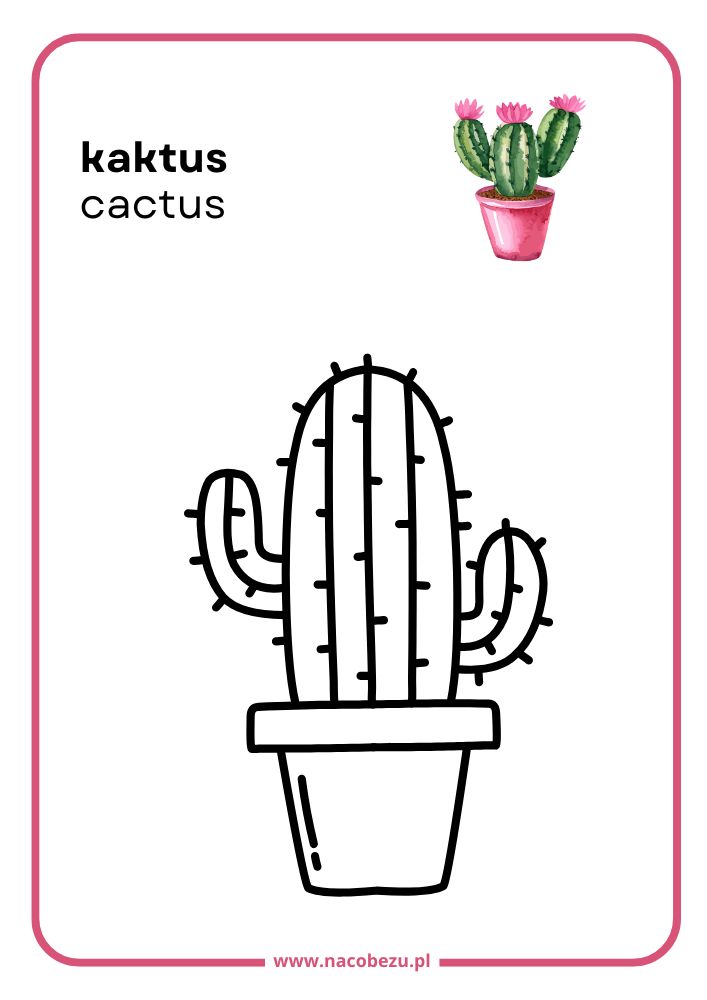 Kolorowanki roślin do druku