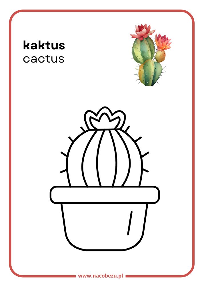 Kolorowanki roślin do druku