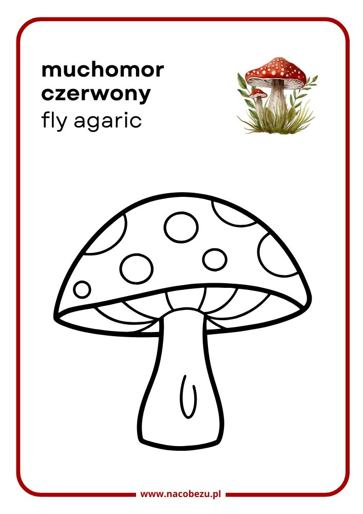 Kolorowanki roślin do druku