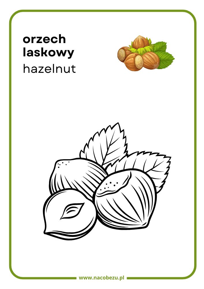 Kolorowanki roślin do druku