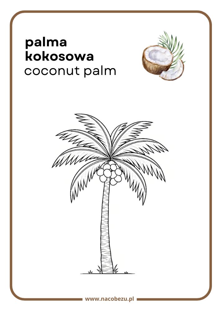 Kolorowanki roślin do druku