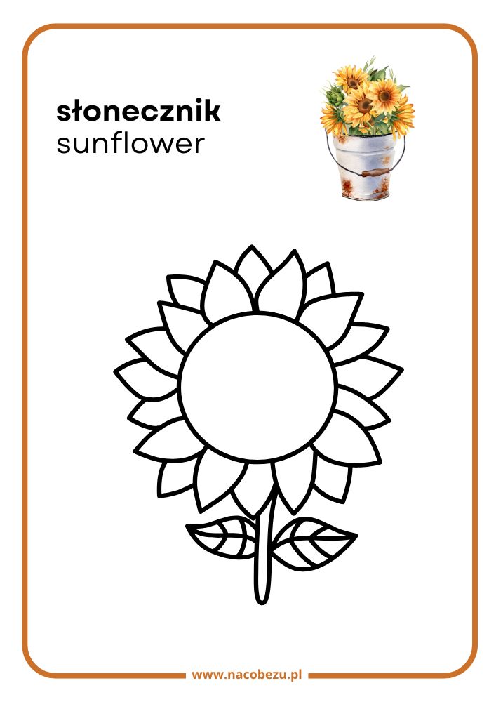 Kolorowanki roślin do druku