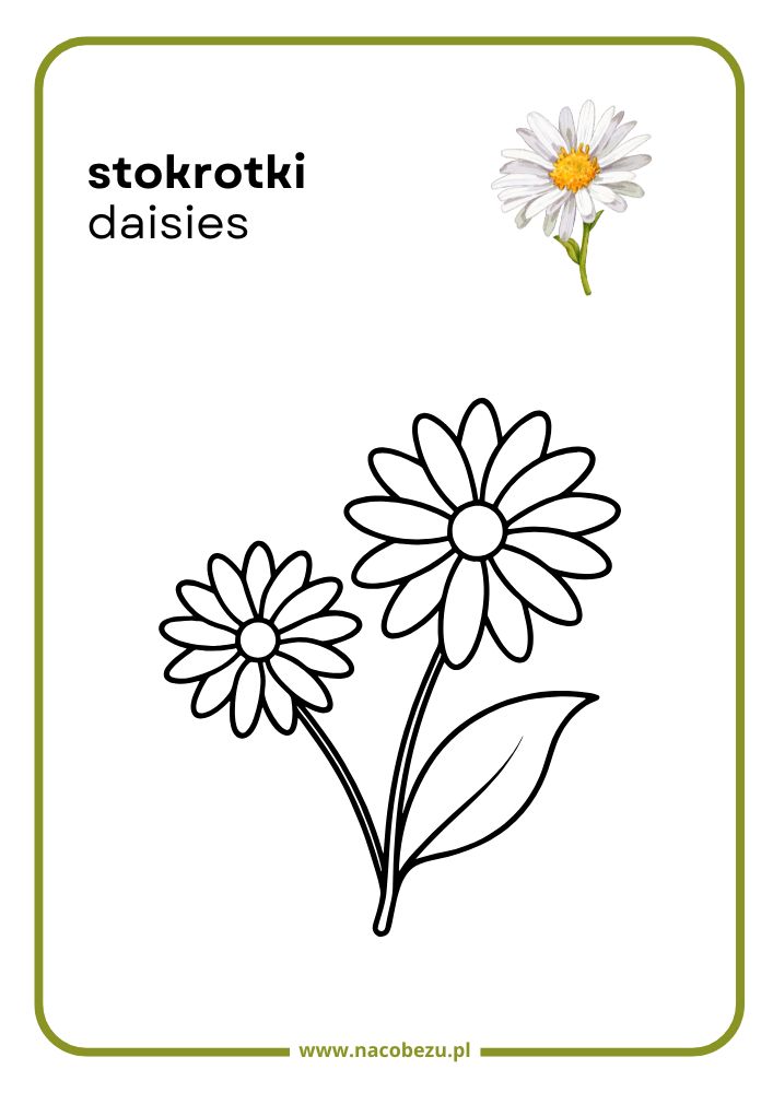 Kolorowanki roślin do druku