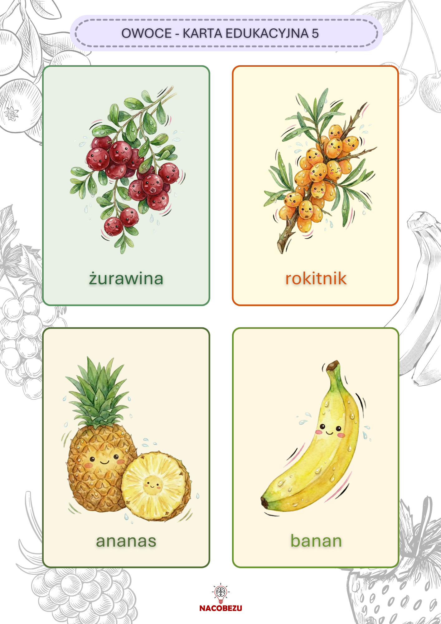 karty edukacyjne owoce