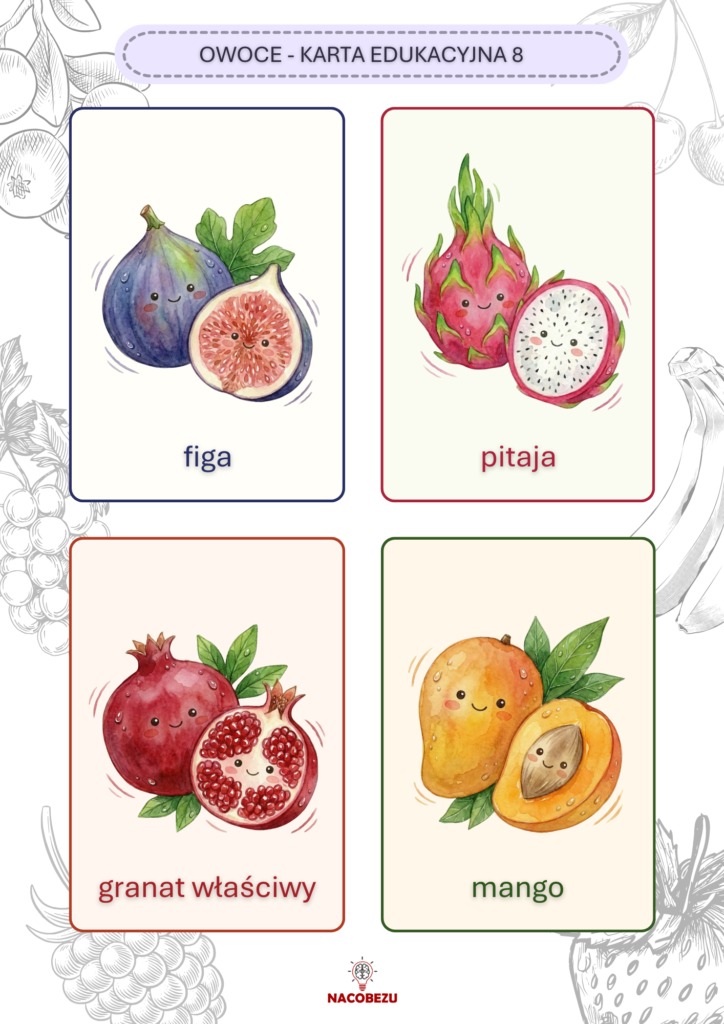karty edukacyjne owoce