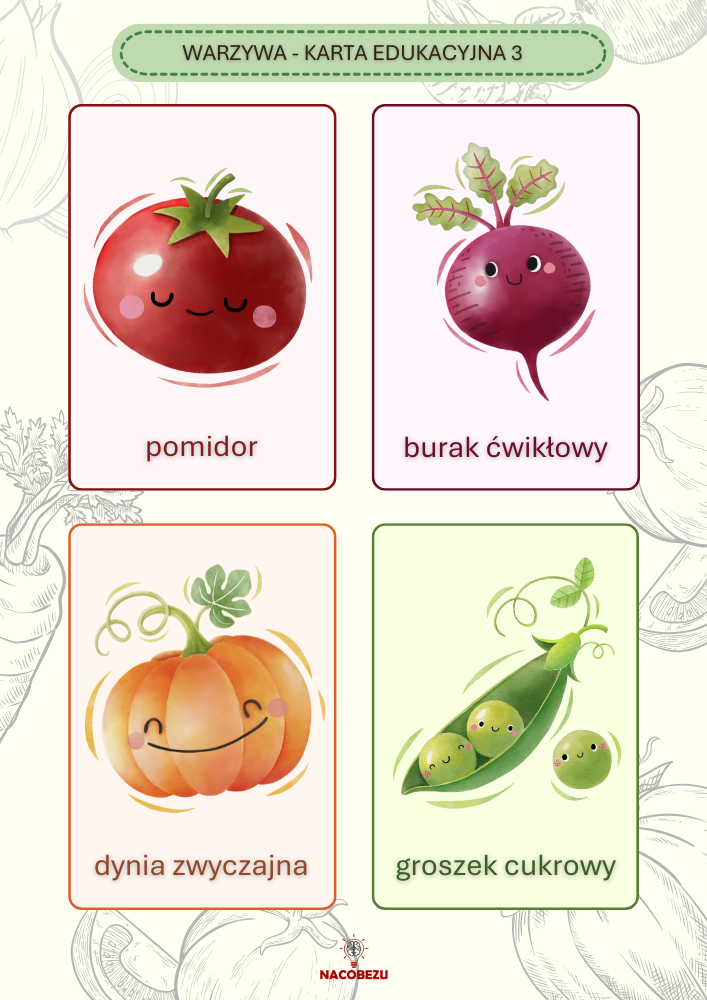 karty edukacyjne warzywa
