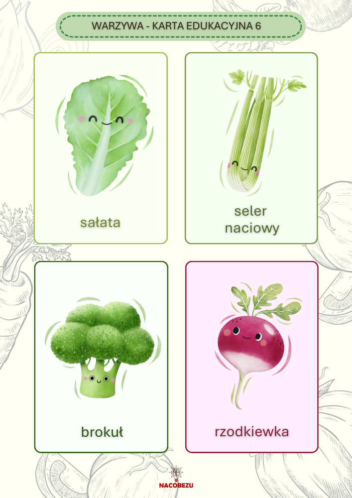 karty edukacyjne warzywa