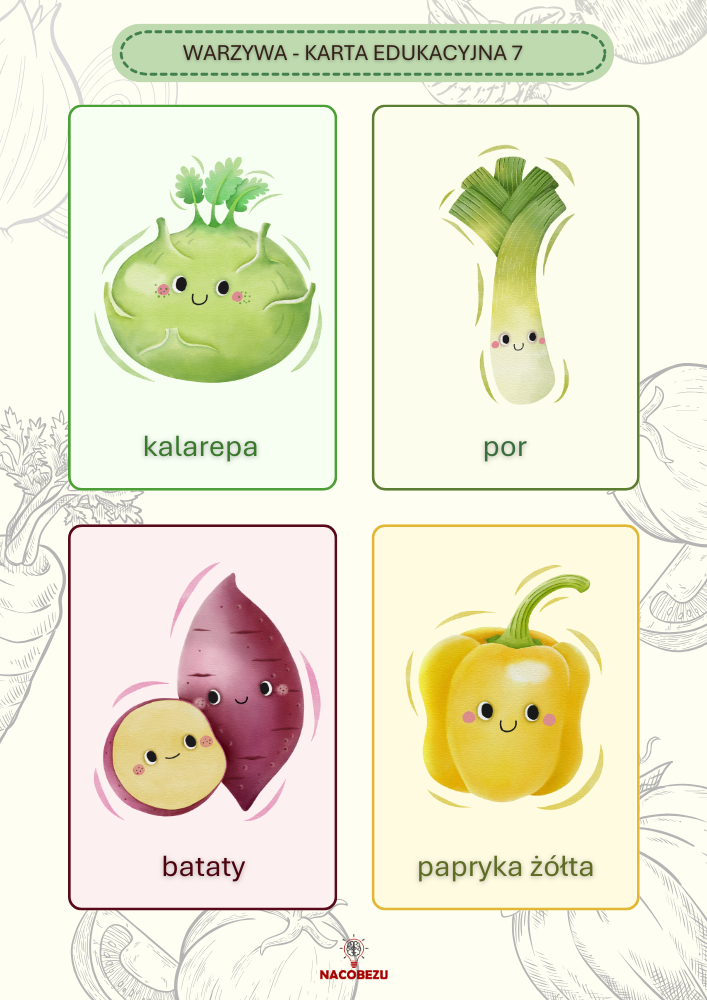 karty edukacyjne warzywa