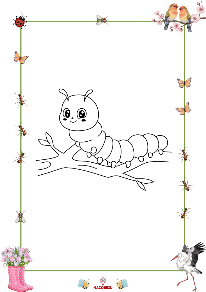 wiosenne kolorowanki do druku