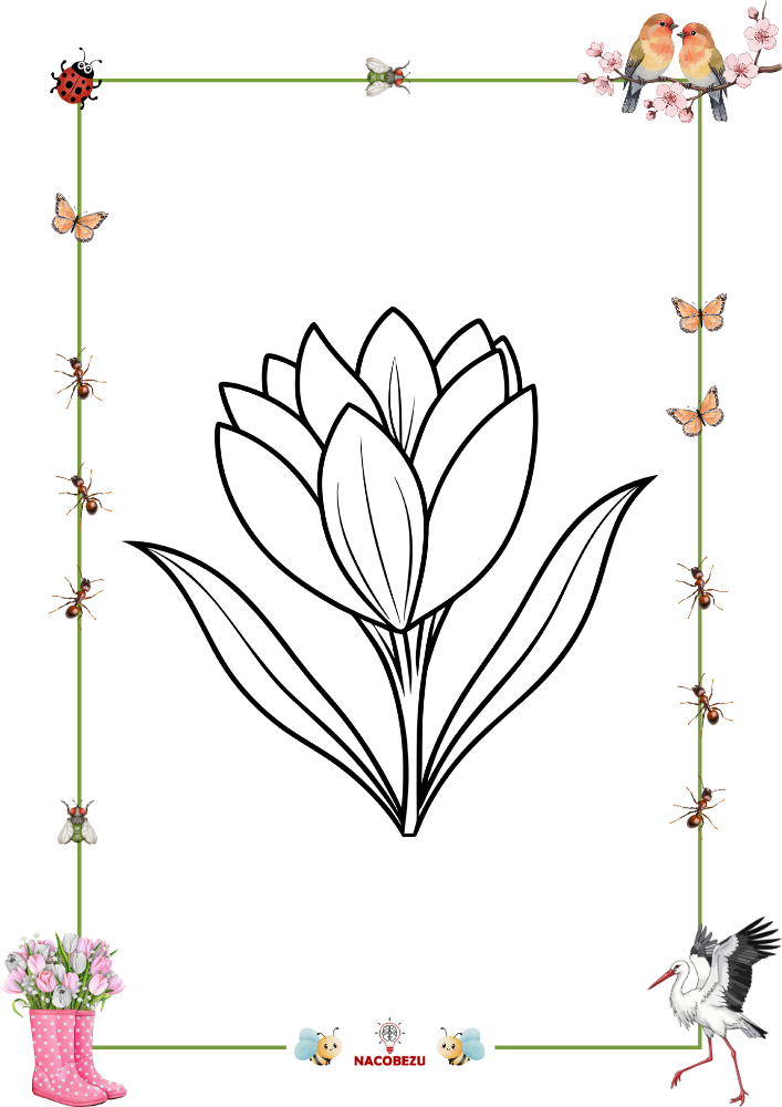 wiosenne kolorowanki do druku