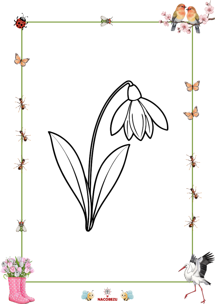 wiosenne kolorowanki do druku