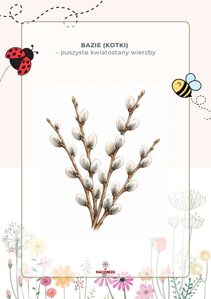 zwiastuny wiosny karty edukacyjne