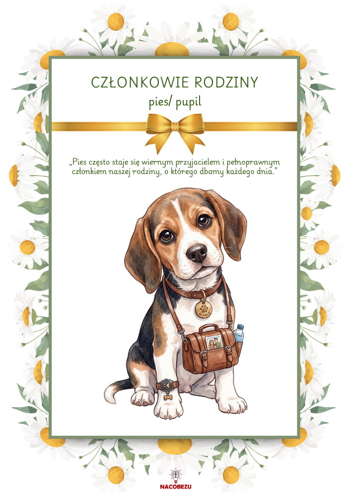 członkowie rodziny karty edukacyjne