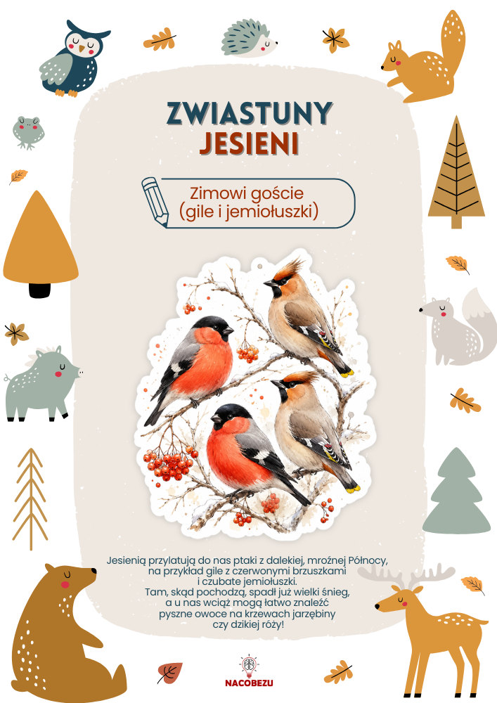 zwiastuny jesieni karty edukacyjne