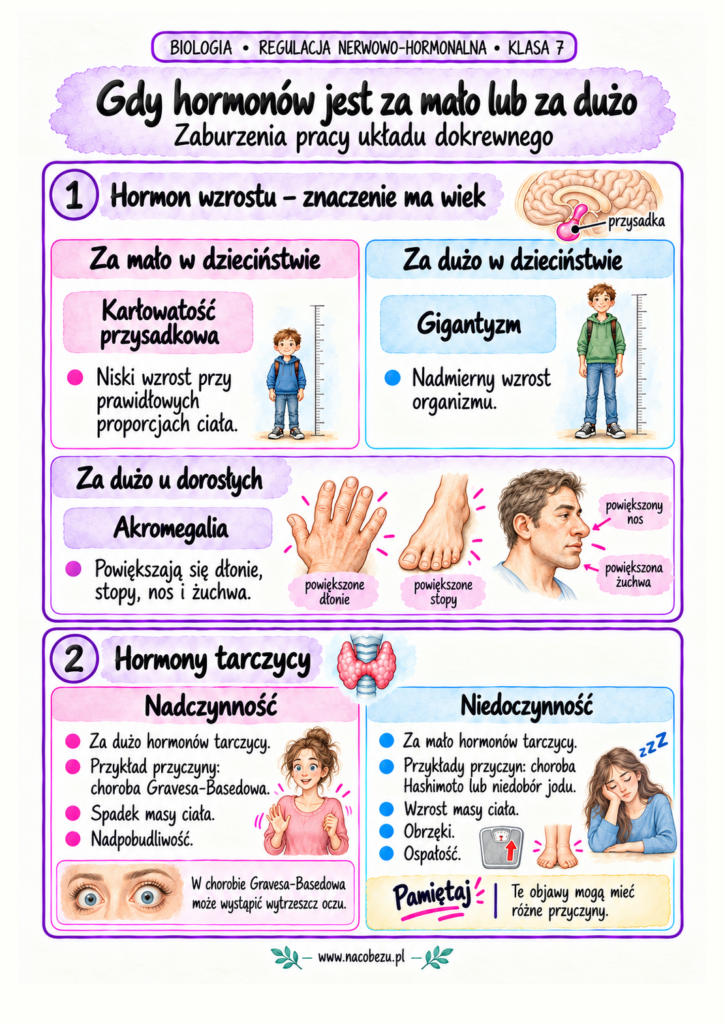 regulacja nerwowo-hormonalna
