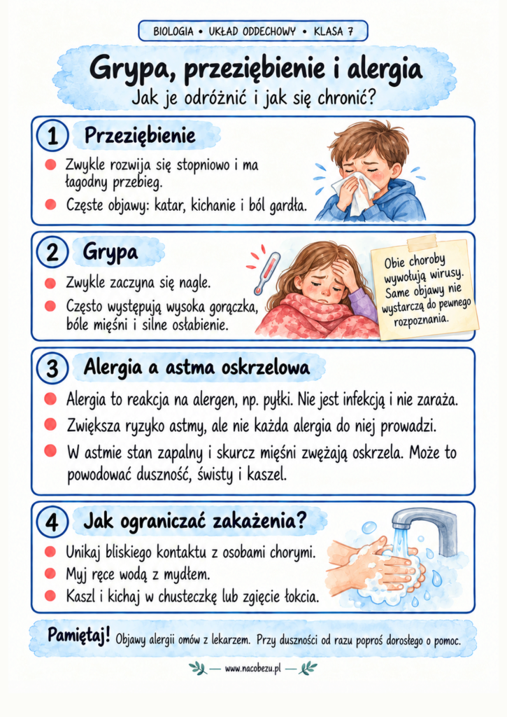 Biologia klasa 7 układ oddechowy