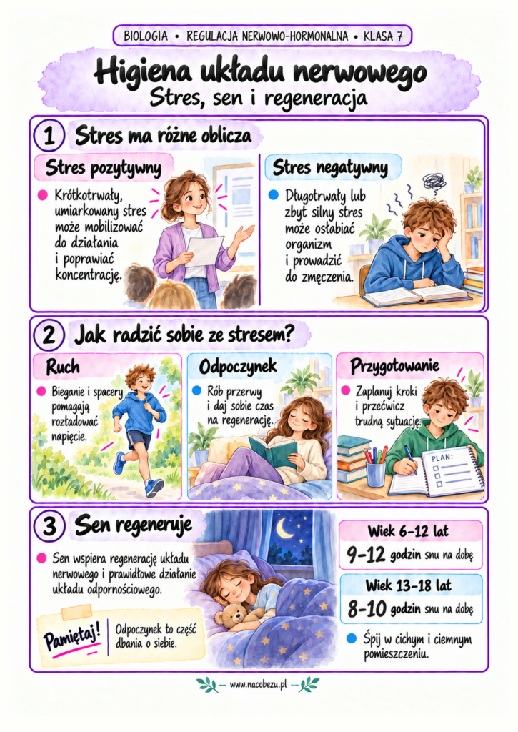 regulacja nerwowo-hormonalna