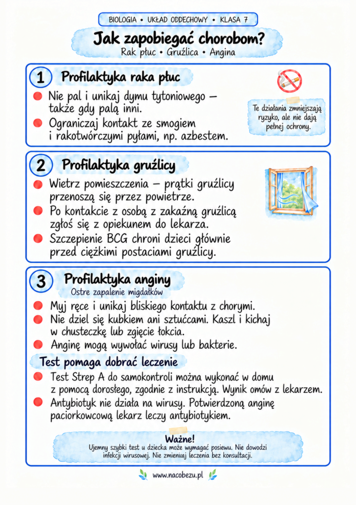 Biologia klasa 7 układ oddechowy