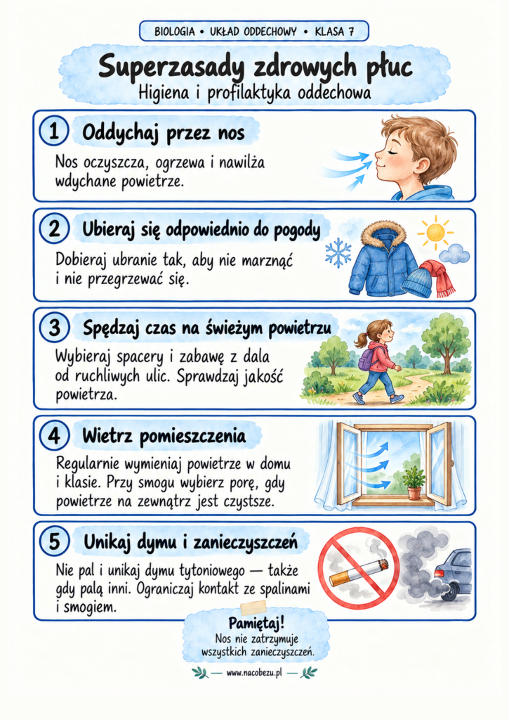 Biologia klasa 7 układ oddechowy